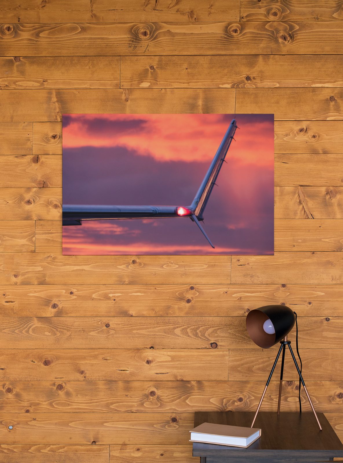 Leinwandbild Winglet Red | 25CENTER